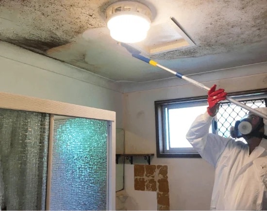 Prevent Mould After Water Damage