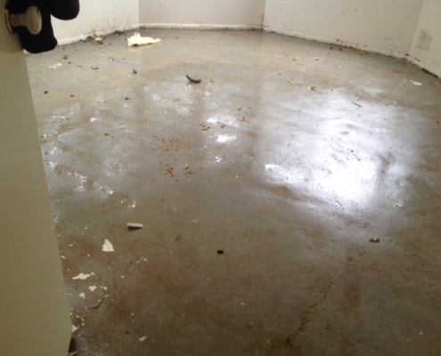 Floor Damage restoration