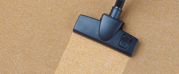 Results of experienced Carpet Cleaning Logan company