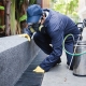 pest control brisbane