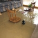 Water Damage Restoration Springfield Lakes