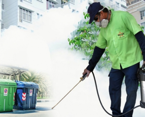 Pest Control Services