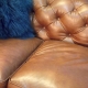 Leather Couch Stain Removal