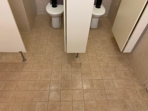 tile and grout cleaning image