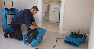 water mould removal noosa