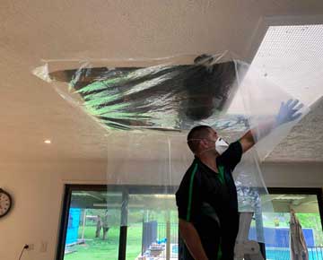 Mould Removal Northern Rivers