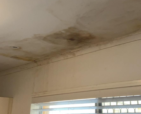 how to remove mould from ceiling