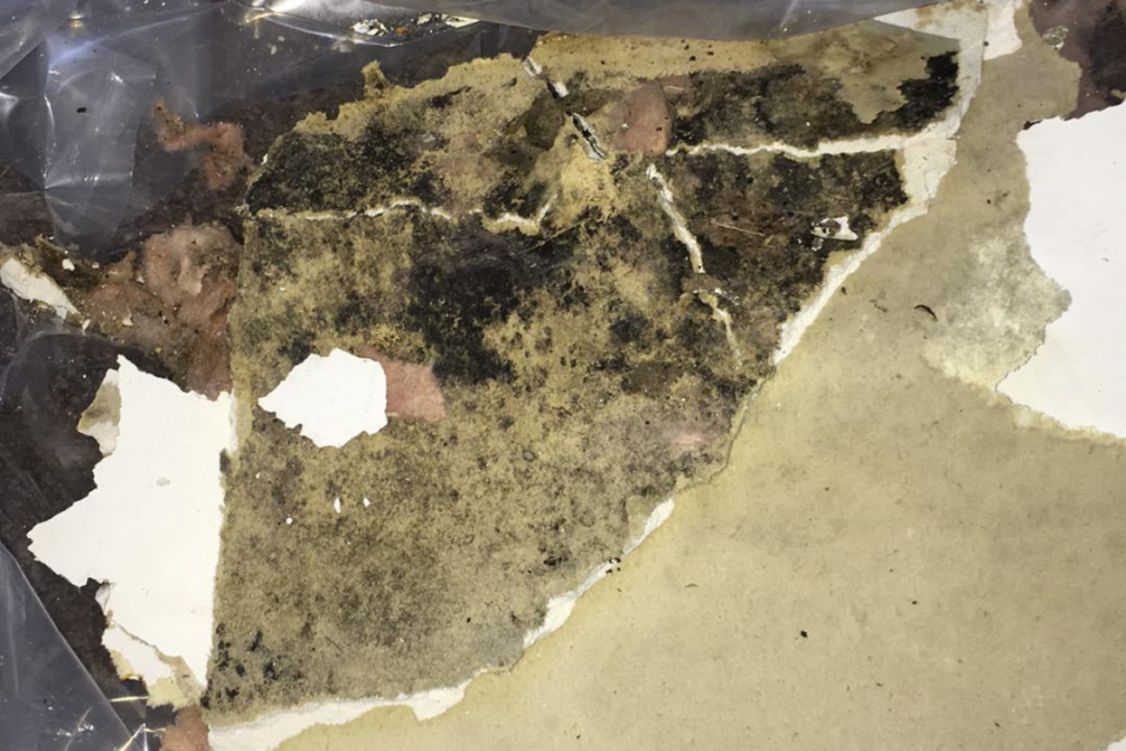 how to remove mould from ceiling