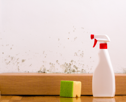 Does vinegar kill mould?