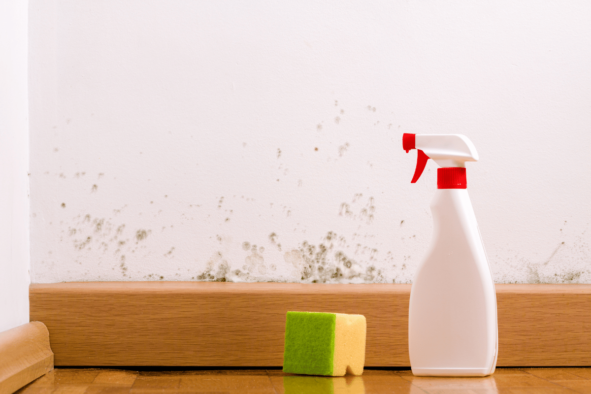 Does vinegar kill mould?