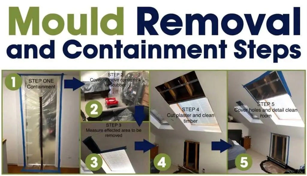 How to clean up after water damage (Mould Removal) SQR