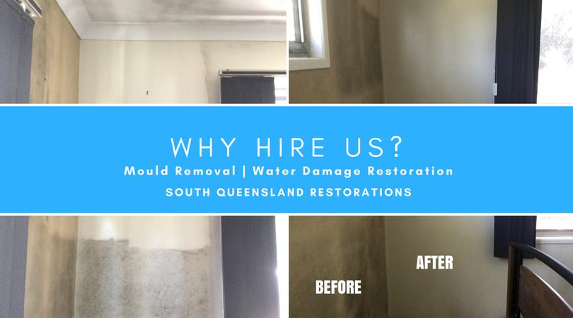 Reasons to Hire Professional Mould Removal Services