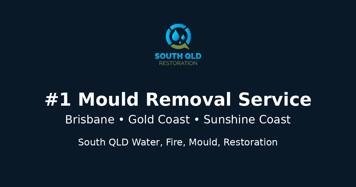 Top Mould Removal Company in Brisbane, Gold Coast & Sunshine Coast