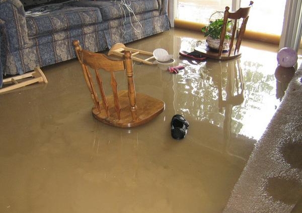 Water Damage Restoration Springwood